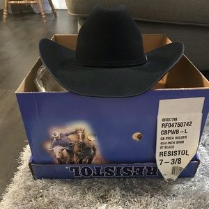 4x beaver resistol hat